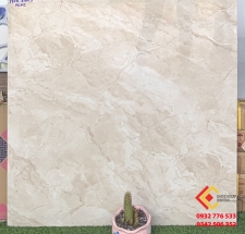 Gạch 80x80 bóng kiếng vi tinh tại Bình Tân