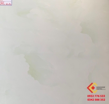 ĐÁ BÓNG KIẾNG 80X80 Á MỸ 8024