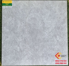 GẠCH 60X60 HÀNG MEN MỜ CHẤT LƯỢNG CAO GIÁ THÀNH RẺ 661