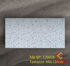 Gạch 60x120 nhập khẩu Trung Quốc đá mờ terrazzo 