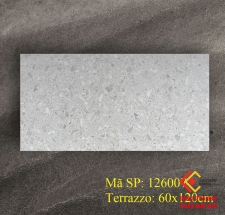 Gạch 60x120 vân đá mờ chính hãng terrazzo mã 126007