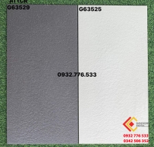 Gạch 30x60 hàng ốp tường nhà wc tôn vẻ đẹp sang trọng