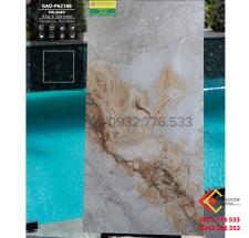 Gạch 60x120 đá bóng kiếng mầu sắc đa dạng