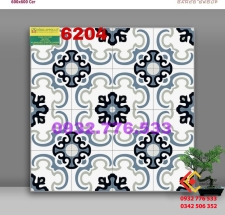 Gạch 60x60 hàng trang trí mã 6204