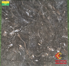 GẠCH 80X80 HỌA TIẾT ĐẸP SẮC SẢO CAO CẤP TS8355