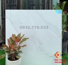 Gạch 80x80 màu sắc nhẹ nhàng thanh lịch