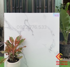 Gạch 80x80 màu trắng vân mây hàng VN
