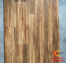 Gạch lát nền 20x100 TQ