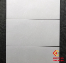 Gạch ốp tường 30x60 phòng wc