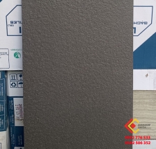 Gạch cao cấp 30x60 đá mờ